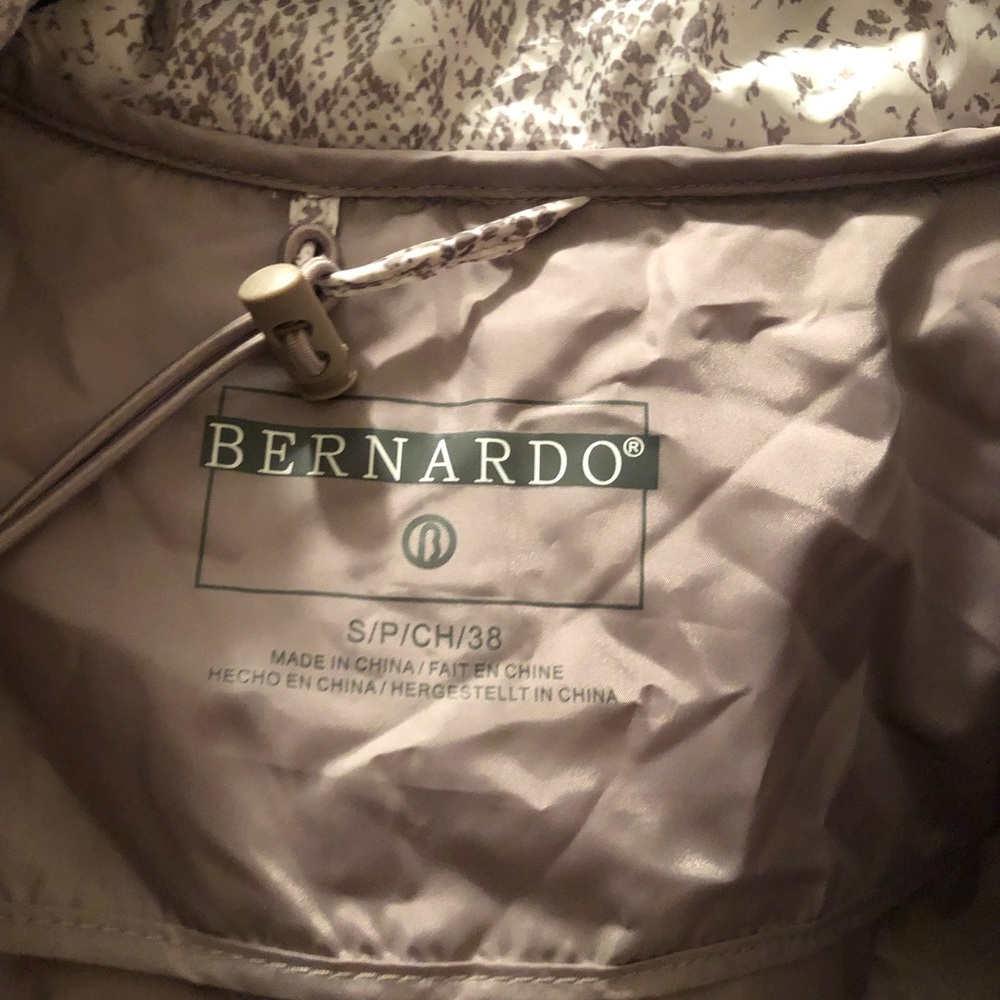 Bernardo - Picture 7 of 9